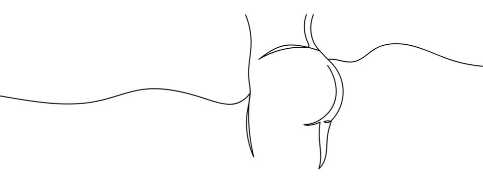 Continuous vector line of woman's buttocks, transparent background, exercise, body, stroke correction.