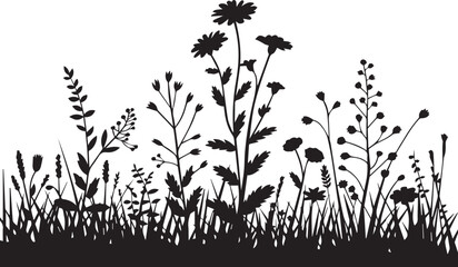silhouette vector of wild meadow plants and flowers on white background for botanical and floral design projects © AIcon Star