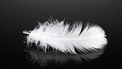 White feather on dark surface