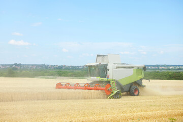 Fototapeta premium Modern combine harvester working in wheat field
