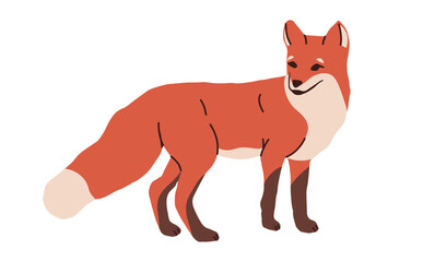 Fox woodland wild animal. Forest realistic mammal fauna animal wildlife nature isolated character zoo wood land inhabitants,