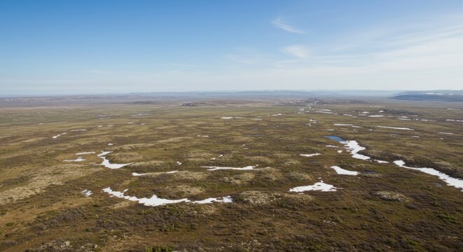 Expansive Tundra Landscape