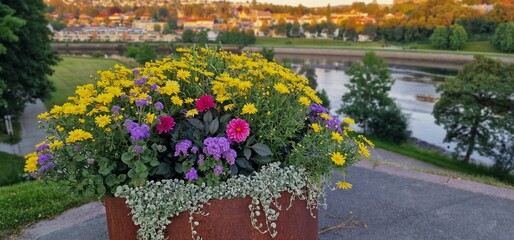 Colorful flowers in a large rusty flowerpot with a scenic city river and park view in the background. Bright summer colors and soft evening light.
