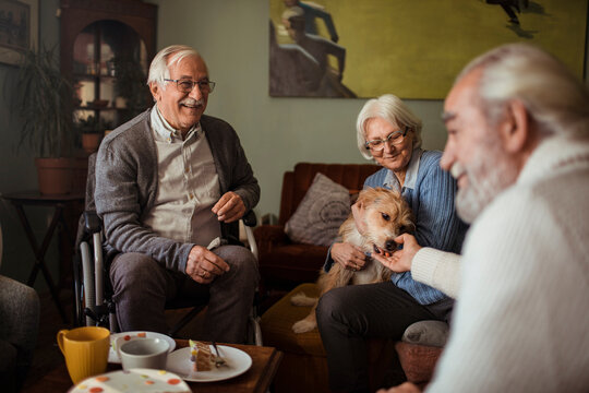 Senior friends enjoying coffee and cake while petting dog at cozy home gathering - Powered by Adobe