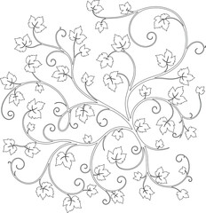 Hand-Drawn Climbing Plant Line Art, 2D Vector Drawing of Natural Vine Design