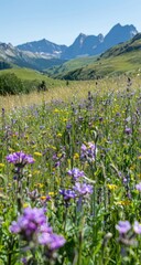Wildflower meadow, mountain backdrop, summer, sunny day, nature scene, travel poster