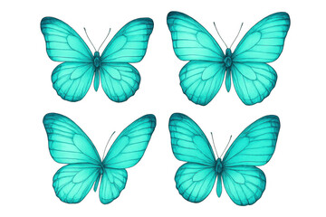 Four vibrant turquoise butterflies with open wings, isolated on a transparent background, offer a striking visual element for various design projects