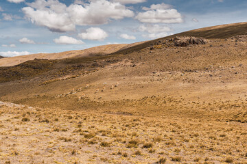 Landscape of the Andean Plateau, mountain range and sparse vegetation with many storm clouds and blue sky