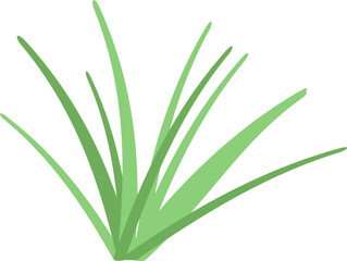 Small Leaf