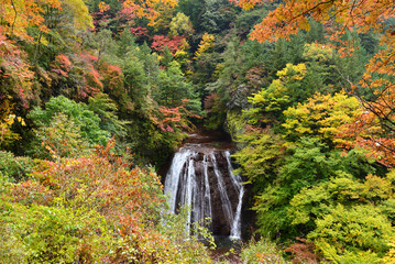 錦秋の渓谷美　蓼科・横谷渓谷