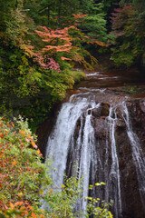 錦秋の渓谷美　蓼科・横谷渓谷