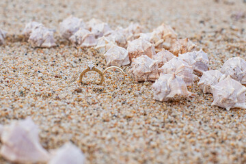 Symbol of love and marriage on the seashore, wedding rings with diamond and shells. Romance, background with space for an inscription