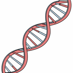 Detailed Illustration of a DNA Double Helix