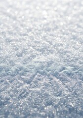 Obraz premium Delicate frost crystals shimmering in winter sunlight creating an icy expanse