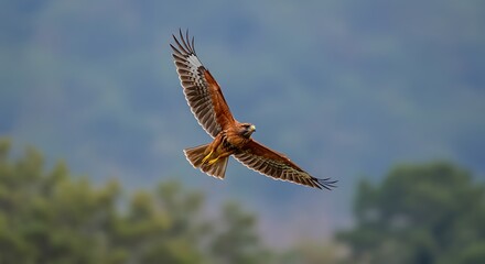Obraz premium Visual interpretation of a close-up of a male mallard duck with vibrant green head swimming in a calm lake, with blurred ducks in the background.