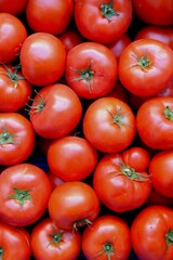 tomatoes on the vine