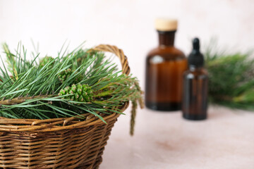 Fresh pine branches arranged in a woven basket with bottles of essential oils in the background. Natural wellness practices. Alternative medicine, healthy and well-being concept. 