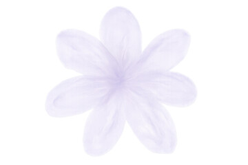Fototapeta premium Delicate purple flower blossoming, revealing soft lavender petals with graceful silhouette against clear backdrop, embodying natural elegance