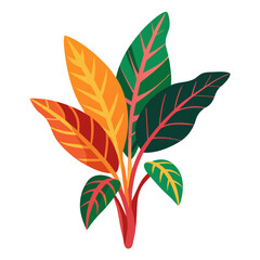 Colorful croton plant with variegated foliage vector on white background.