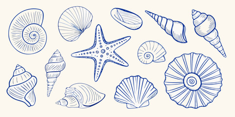 Collection of blue line art seashells and starfish