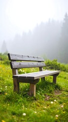 A solitary wooden bench sits in a misty meadow, surrounded by lush greenery and a distant, fog-shrouded forest
