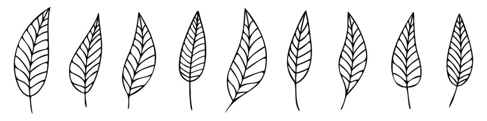 Set painted leaves, black isolated silhouette on white background, vector design