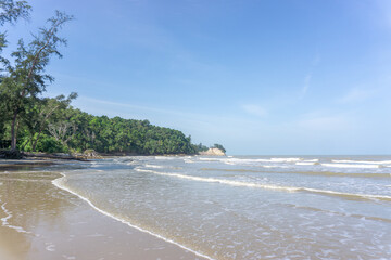 Tropical beach with gentle waves and lush green trees under a clear blue sky