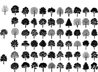 Large collection of black tree silhouettes, diverse forest species, botanical plant shapes, woodland landscape elements flat vector.eps