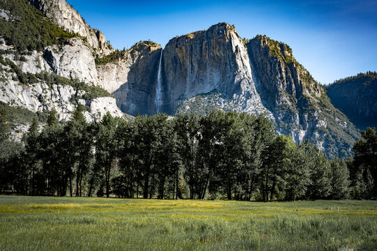 Yosemite National Park - Powered by Adobe