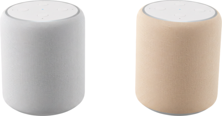 Pair of Modern FabricCovered Smart Speakers in Grey and Beige.