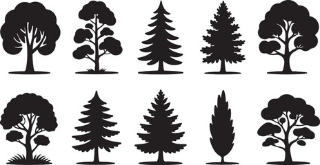 Pine forest silhouettes with leaves and fir branch vectors for a winter holiday illustration