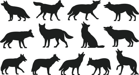 Wild coyote and wolf silhouette collection, various animal poses for wildlife design and nature artwork, flat vector.eps