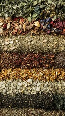 Obraz premium Dried herbs and teas display