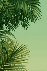 Fototapeta premium Tropical palm leaves frame a soft green background