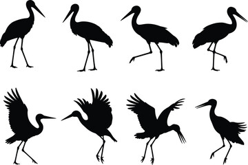 Silhouette collection of stork and crane birds standing and flying with open wings, flat vector.eps