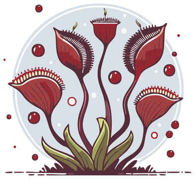 Vector illustration of a stylized Venus flytrap plant design