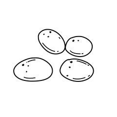 Potato Doodle sketch