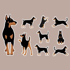 Cute dogs and sticker pack. Cartoon set of funny dogs stickers. Isolated flat vector.