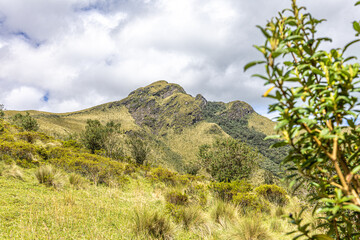 Pichincha Province, Quito, Ecuador - July 5, 2025: The Pasochoa volcano is located in the Pasochoa wildlife refuge. It is an extinct volcano, 4,200 meters high.