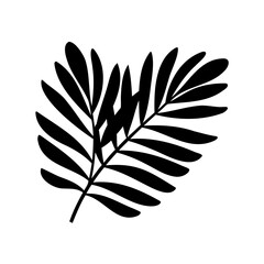 Fototapeta premium Tropical leaves silhouette, Palm leaf icon