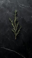 Fresh rosemary on dark marble