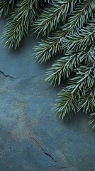 Frosted evergreen branches on textured surface