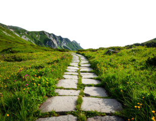 Curved garden stone walkway in grass field, isolated on transparent background PNG