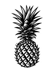 Obraz premium pineapple fruit illustration. black and white isolated