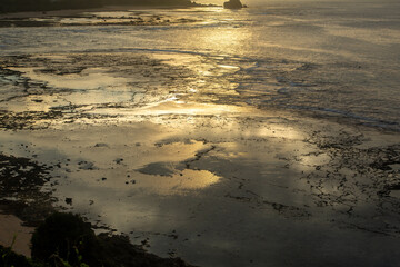 夏の奄美大島の夜明け前の珊瑚礁の海。