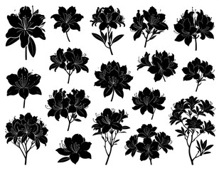 Black and white azalea silhouettes