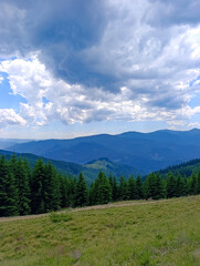 Fototapeta premium A grassy field with trees and mountains in the background