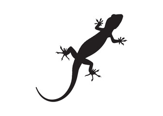 Naklejka premium Lizard Icon Silhouette with Long Tail in Flat Vector Format on White Background.