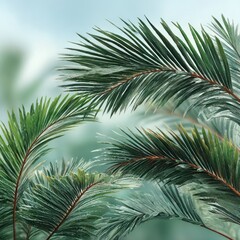 Fototapeta premium Lush palm fronds in soft light