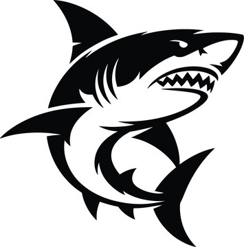 Fierce shark aggressive predator marine life ocean